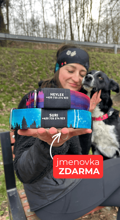 zamidog-jmenovka-zdarma